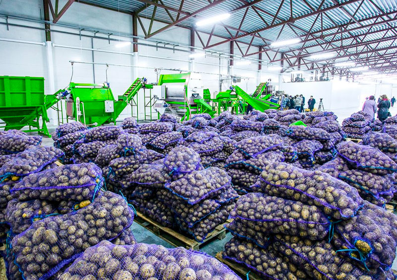 fruit and veg industry construction services